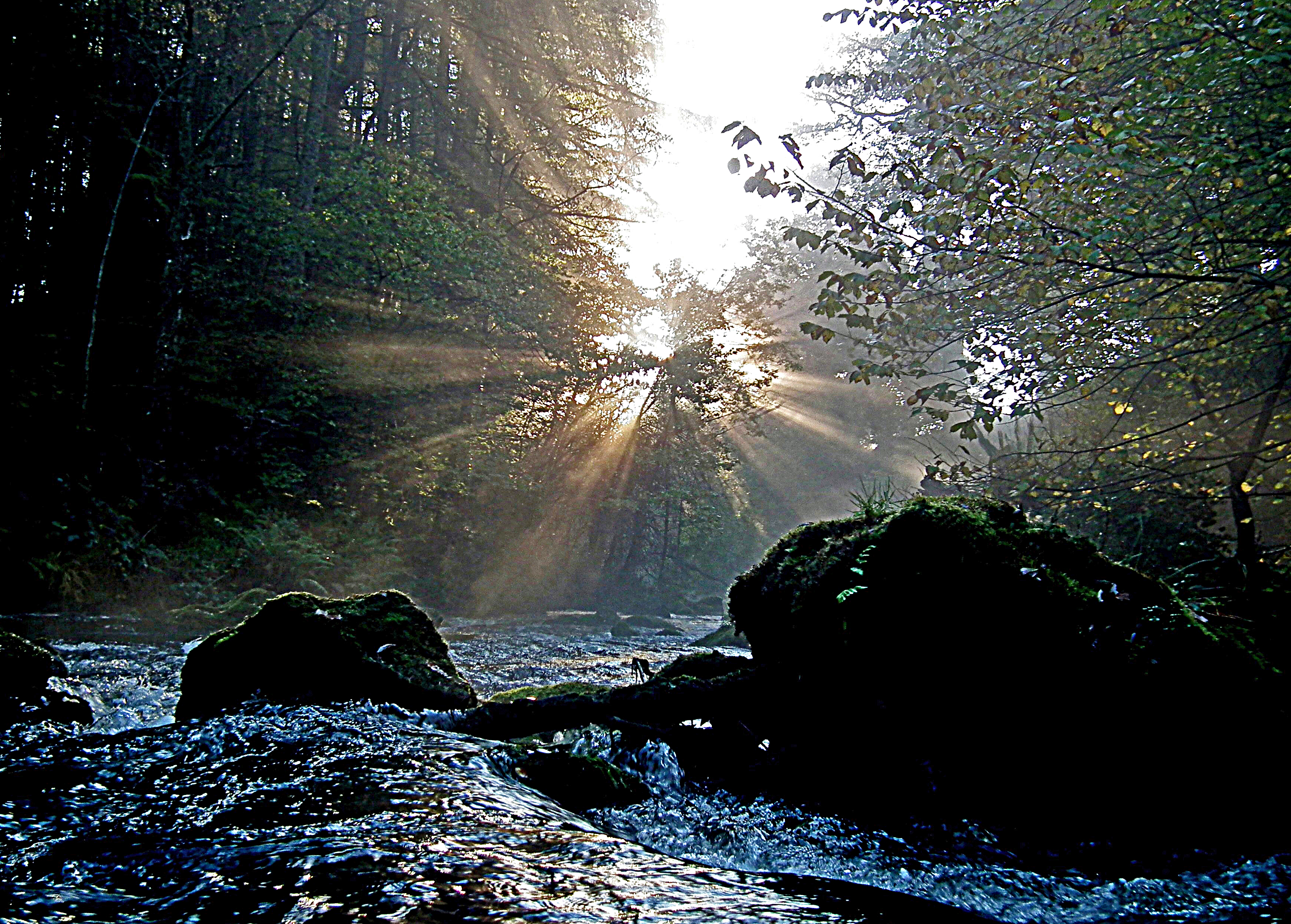 SUNRISE ON THE CLYWEDOG Bill Bagley Photography